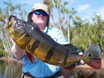 Brazil fishing adventures with Ron Speed