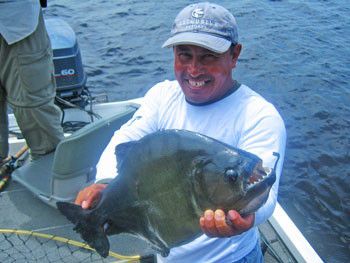 Piranha in Brazil