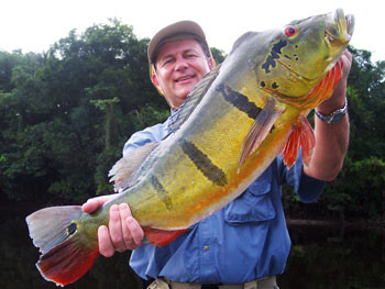 Peacock bass fishing in Brazil